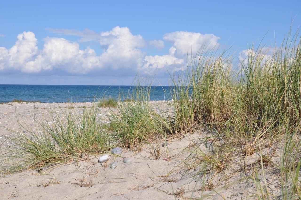 Burgtiefe Suedstrand "Duenennest" Фехмарн Екстериор снимка